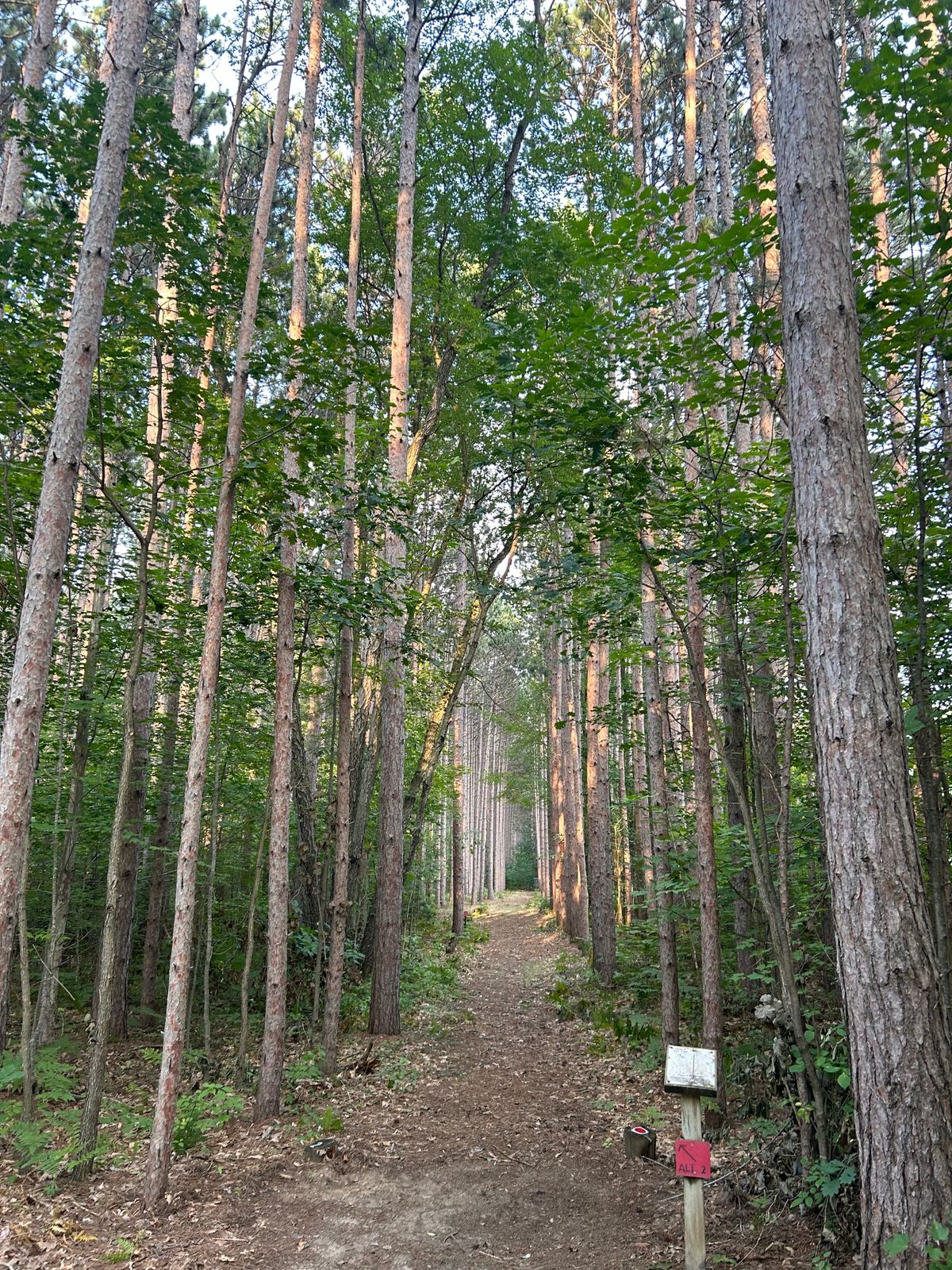 Hole 2
