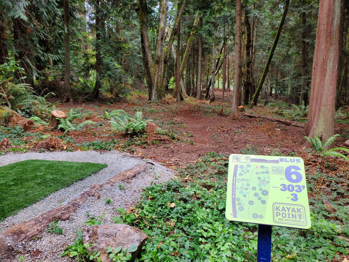 Hole 6 tee