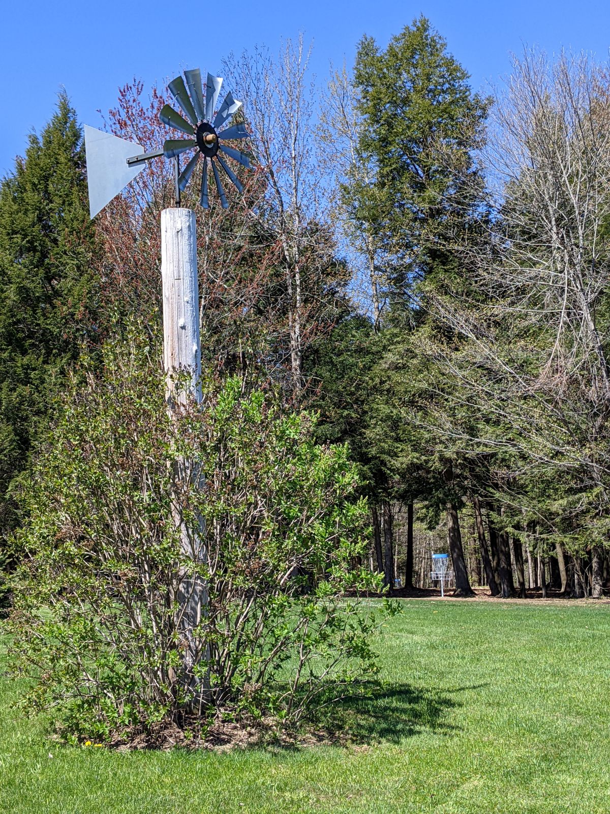 Hole 8 DiscGolfPark basket