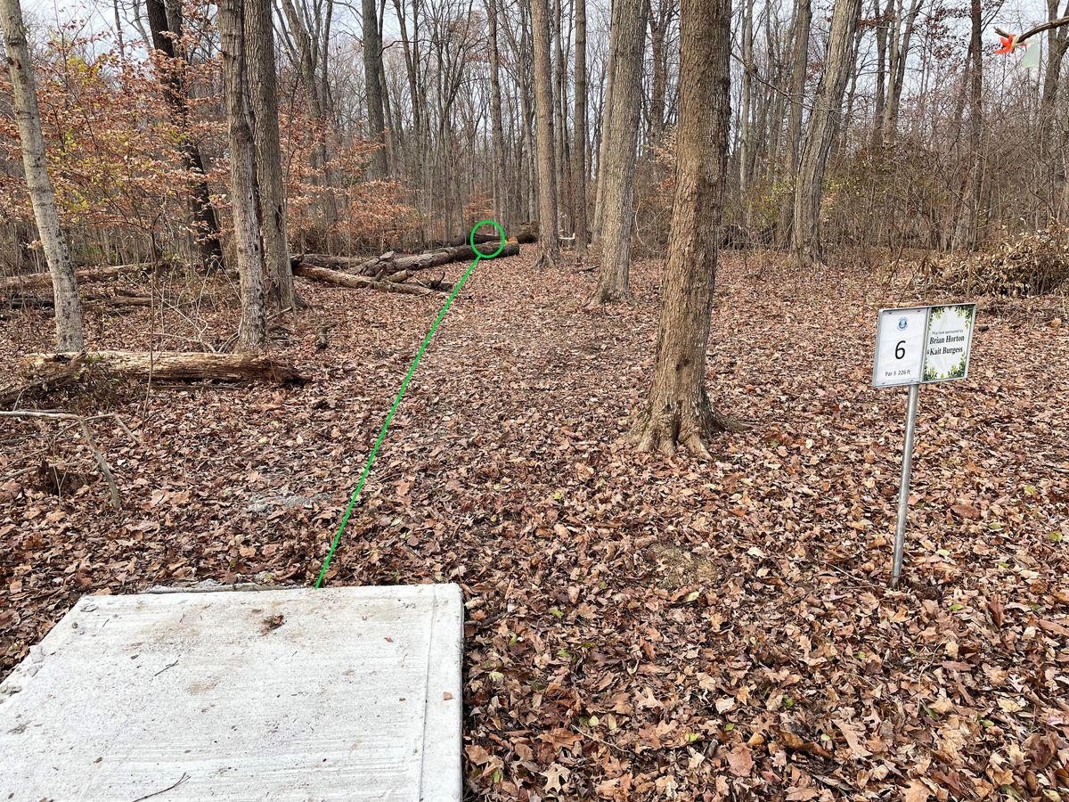 Hole 6