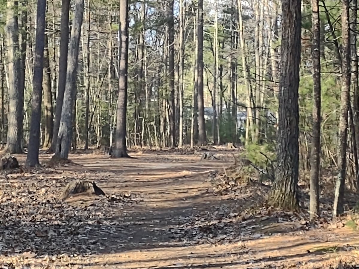 Hole 5