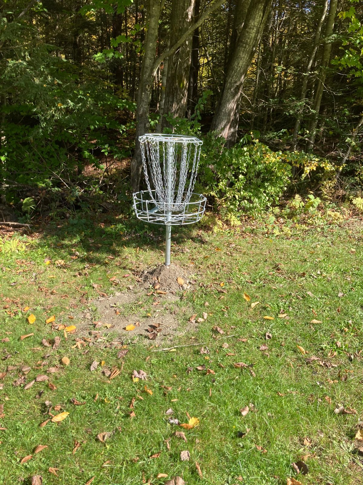 Hole 8 basket