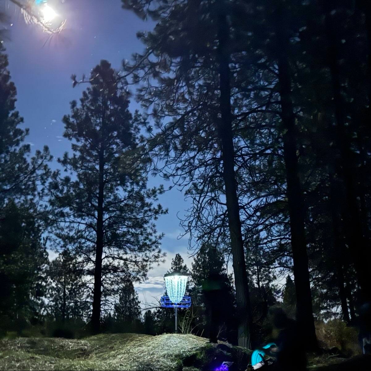 David Willman profile photo