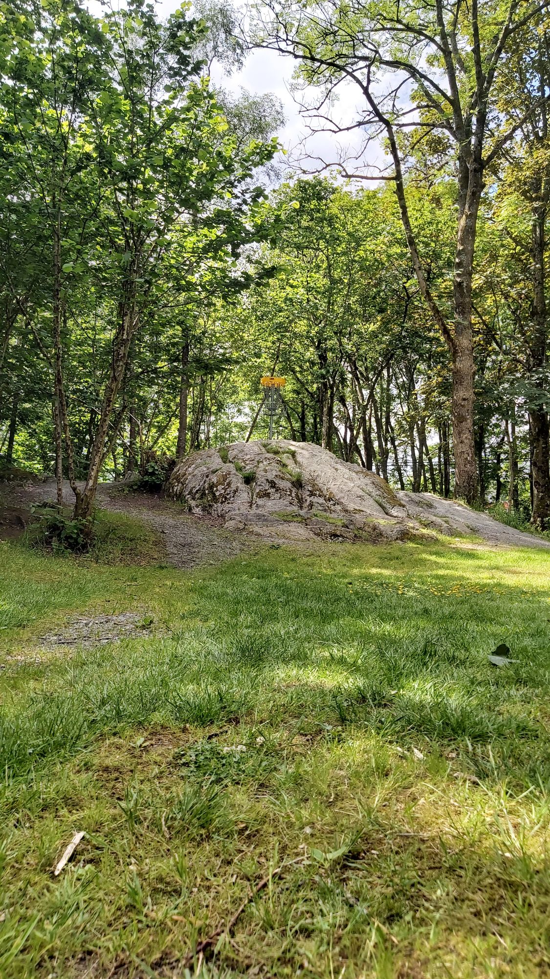 Green, Hole #10