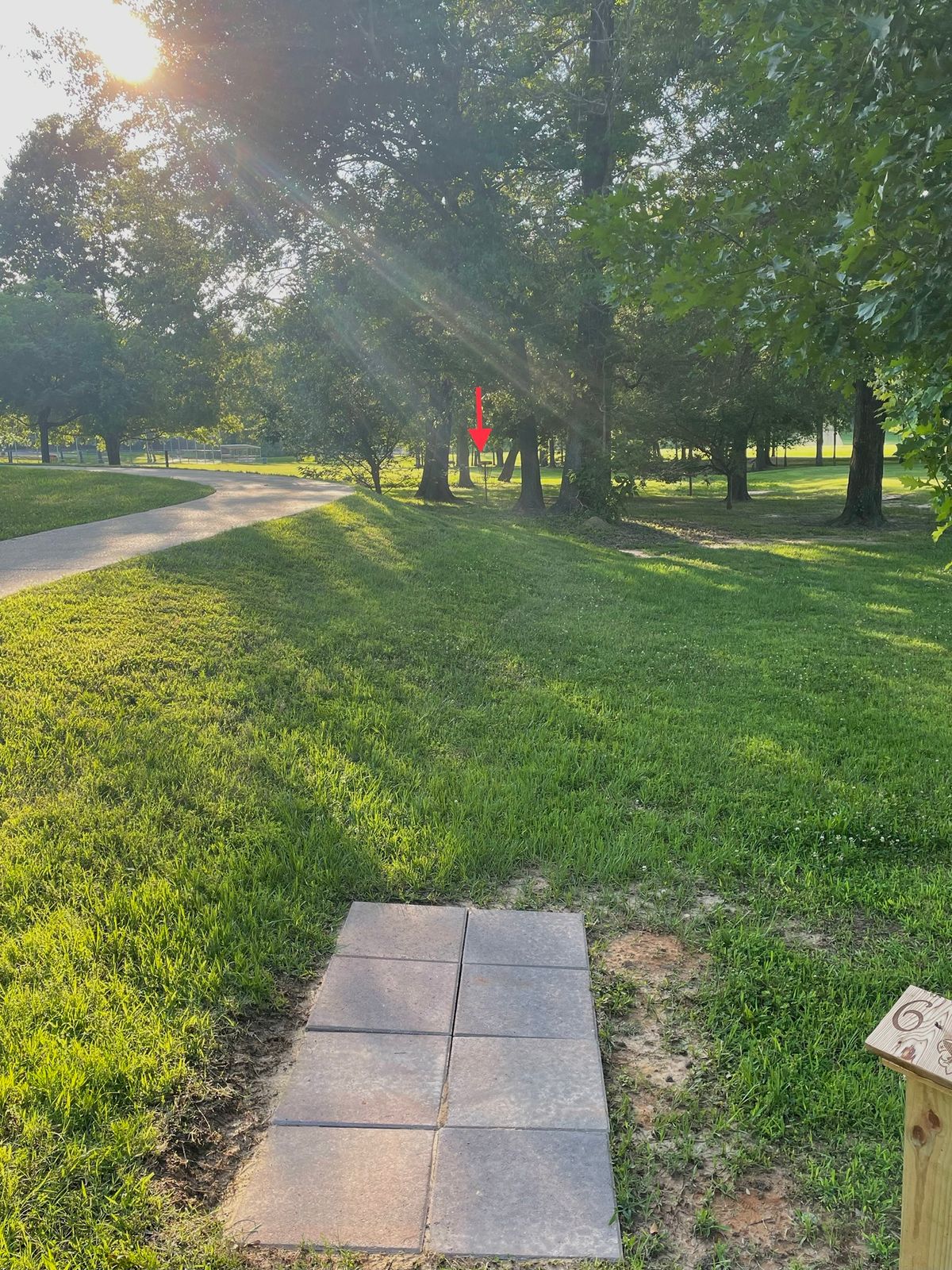 Hole 6. Pavement and beyond is OB.