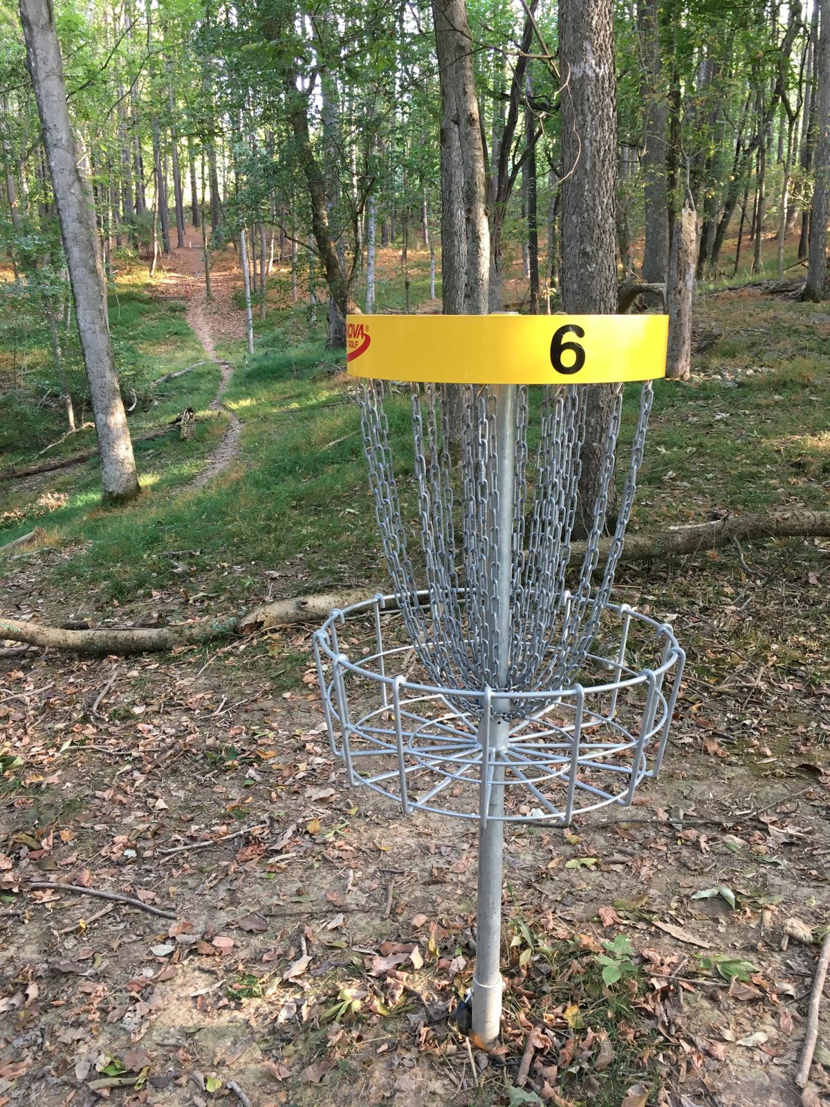 Looking back up towards the tees on hole 6