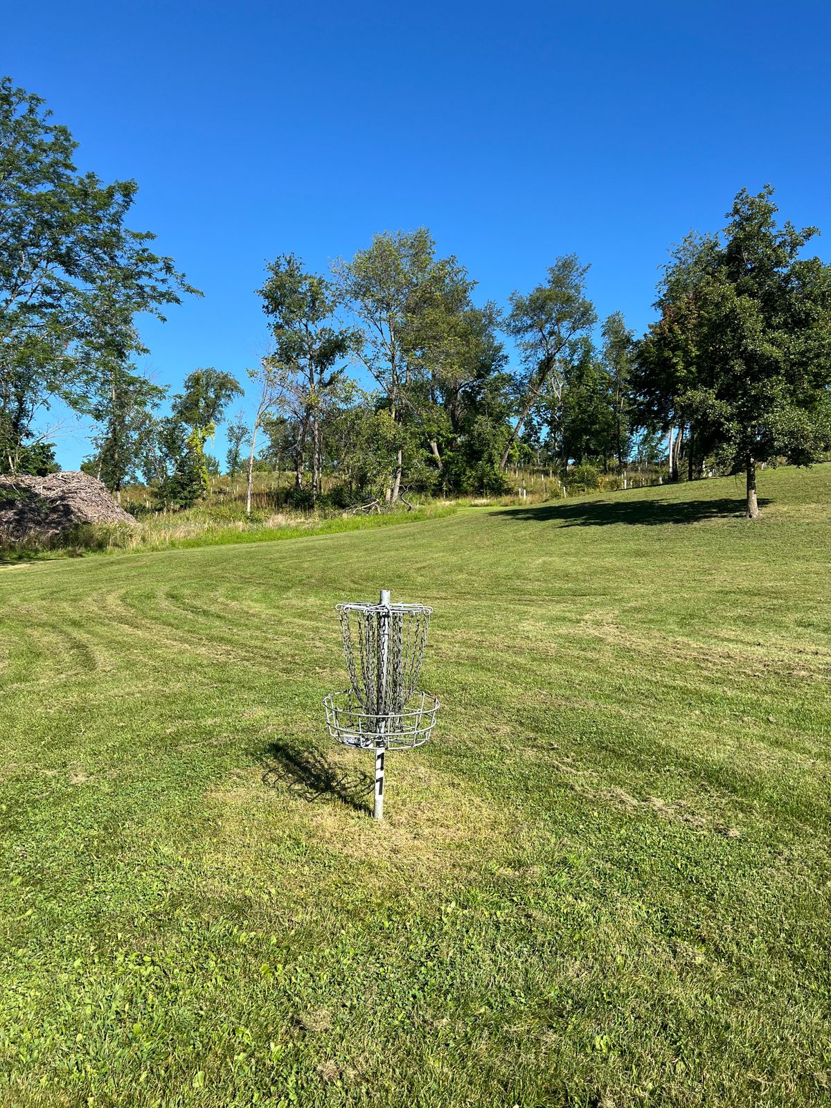 Hole D Basket