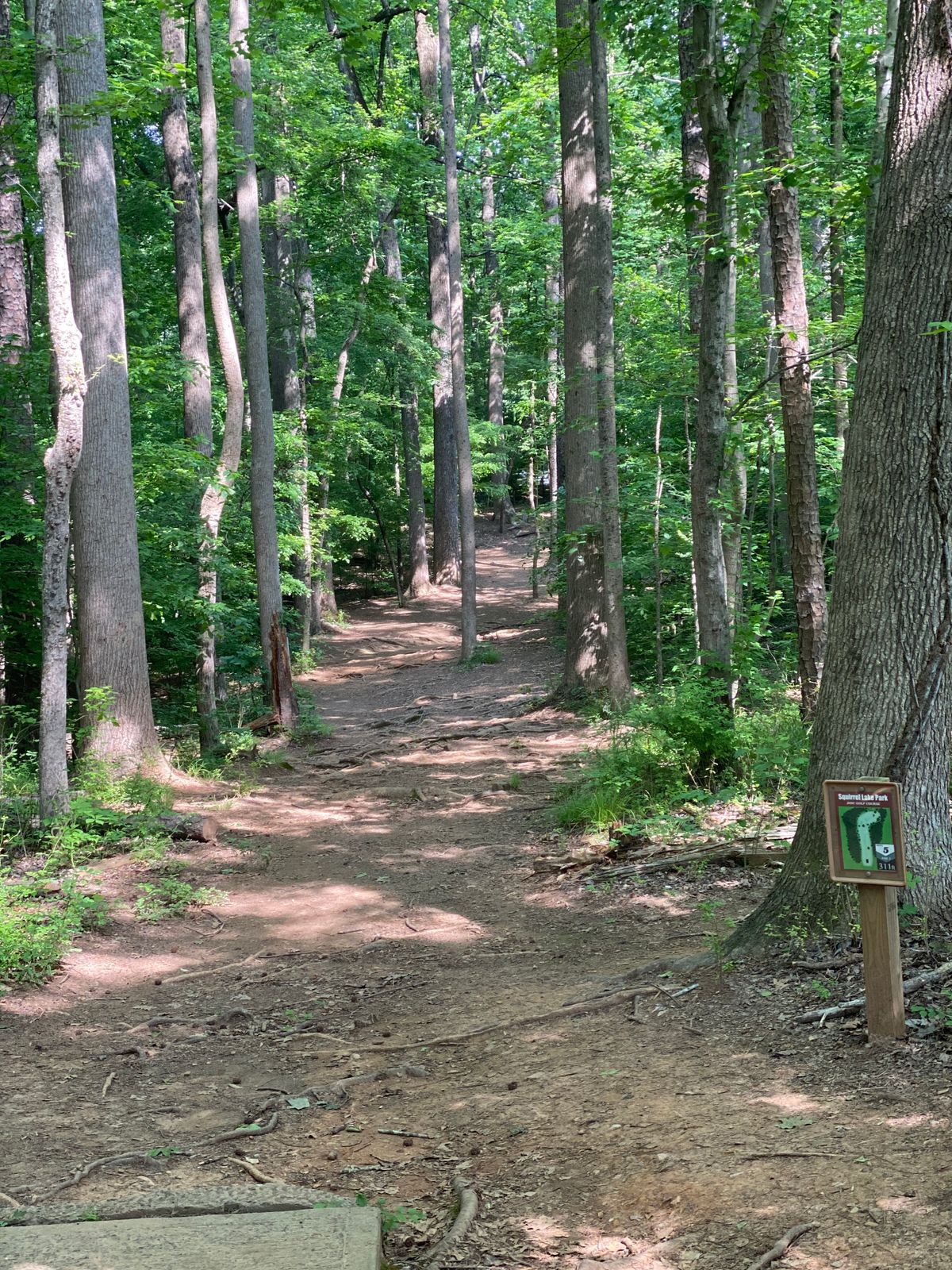 Hole 5 tee