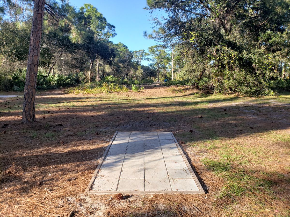 Tee pad 1