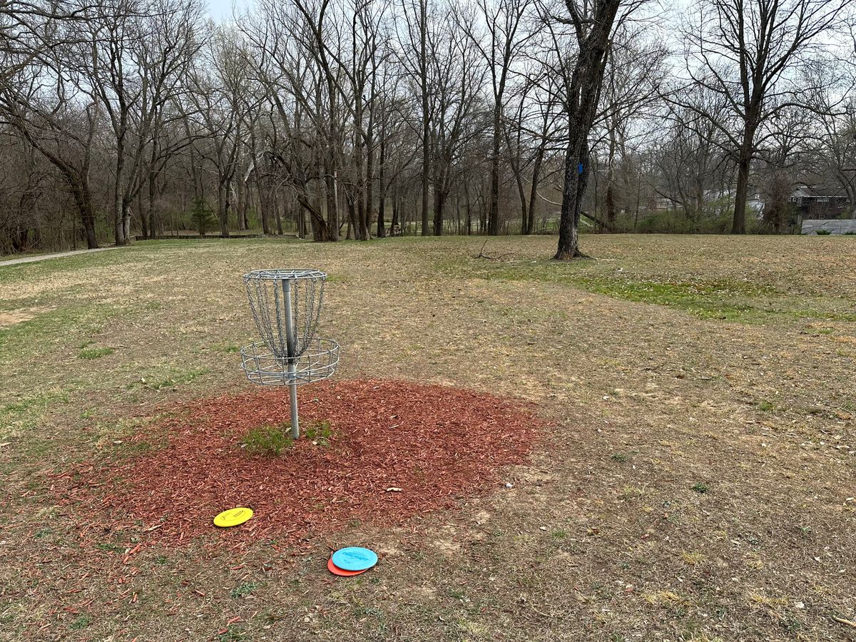 Basket in hole 8