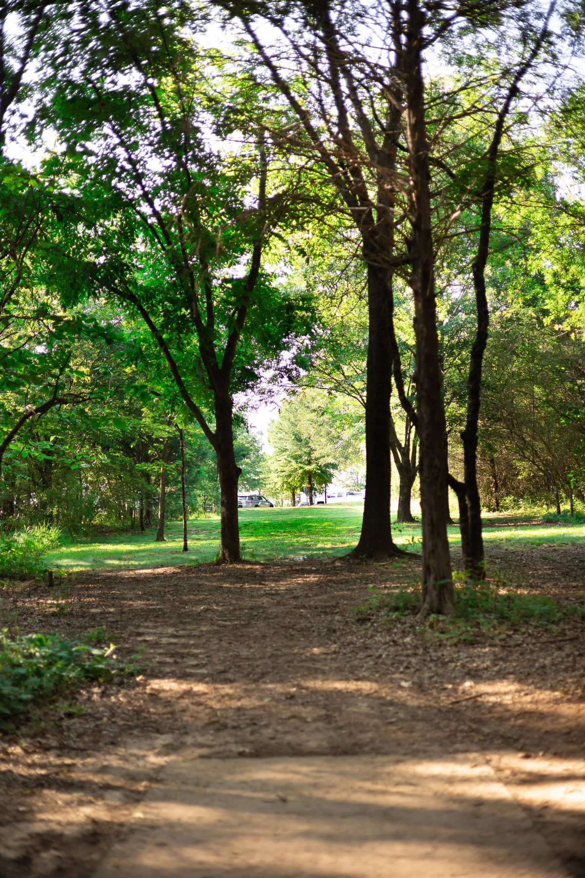 Hole 3 Short