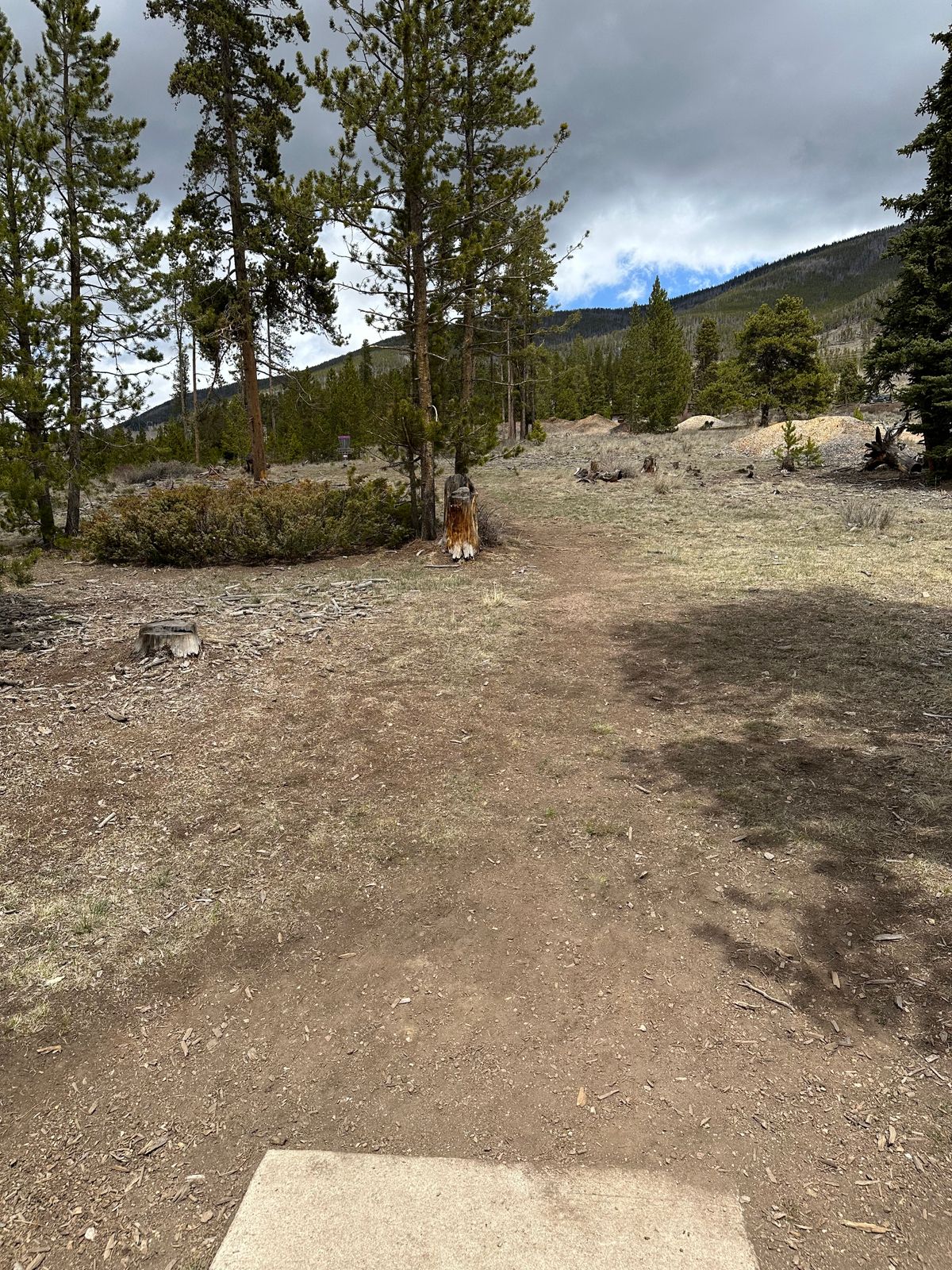 Hole 3 Tee