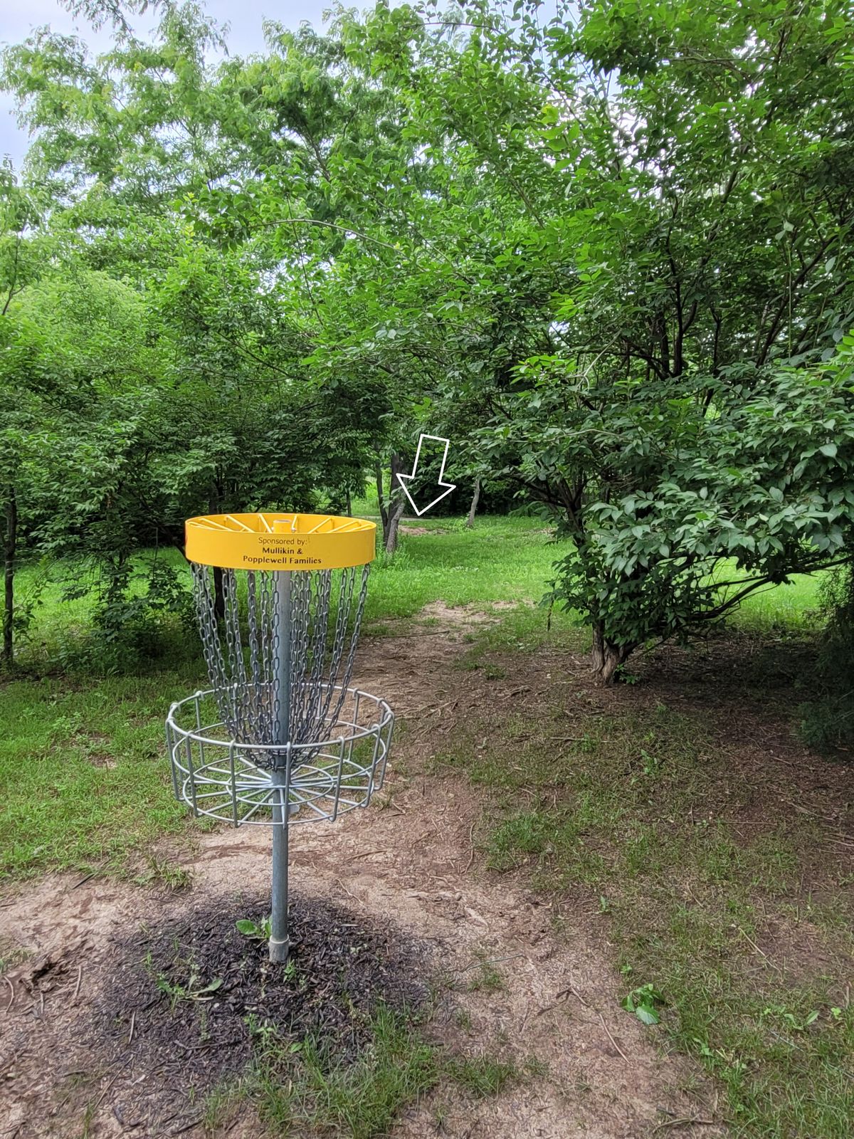 Hole 16 main basket to tee