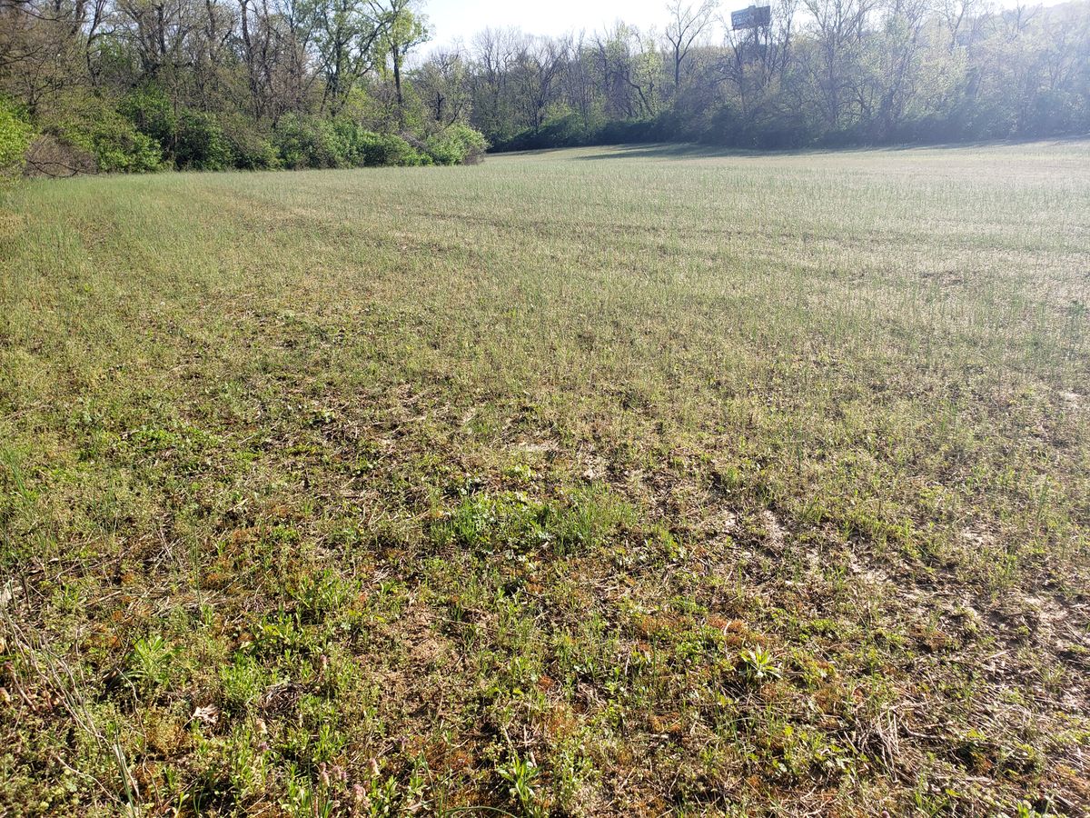 Field way of 15