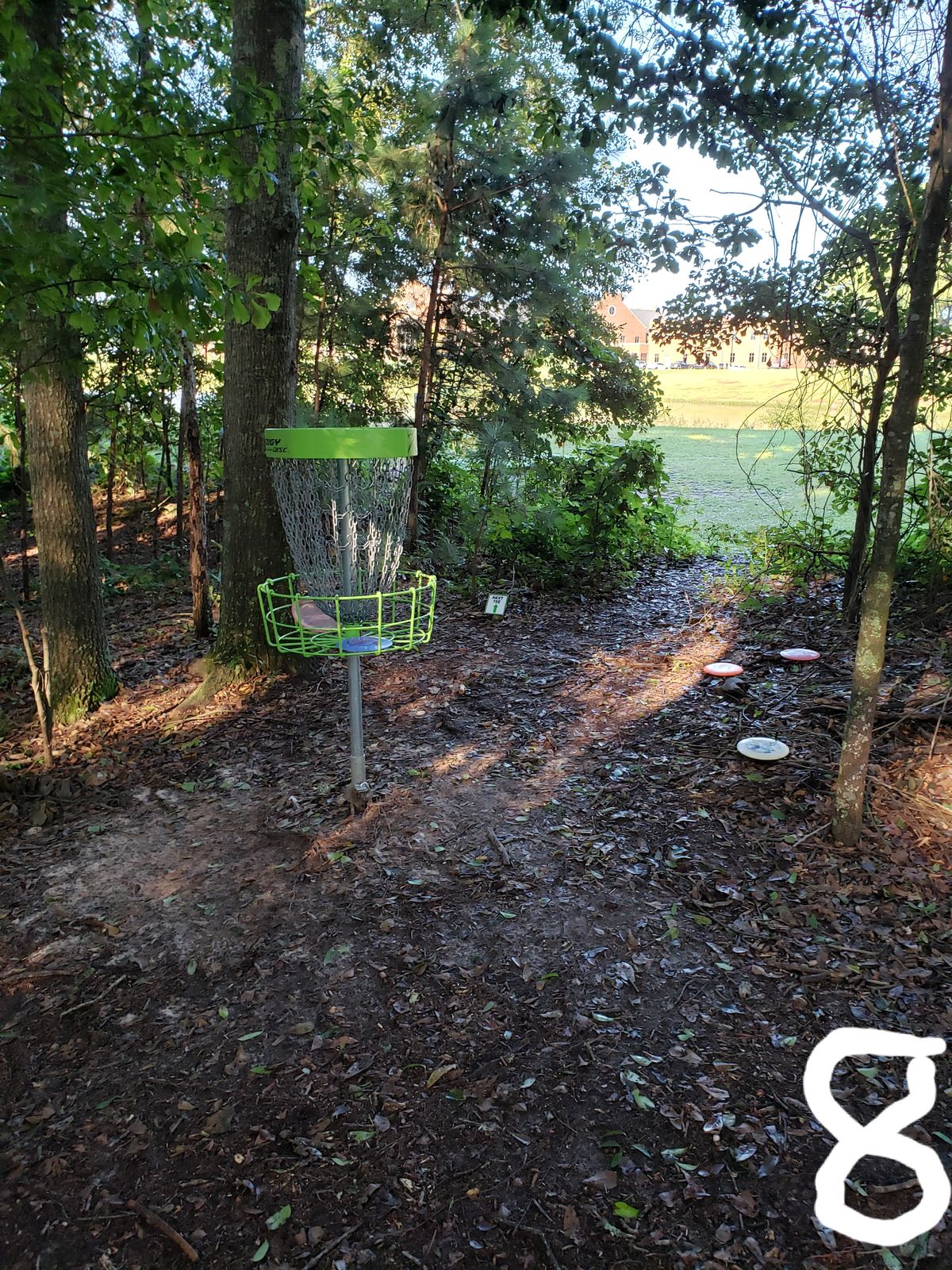 #8 Basket Area or "Green"
