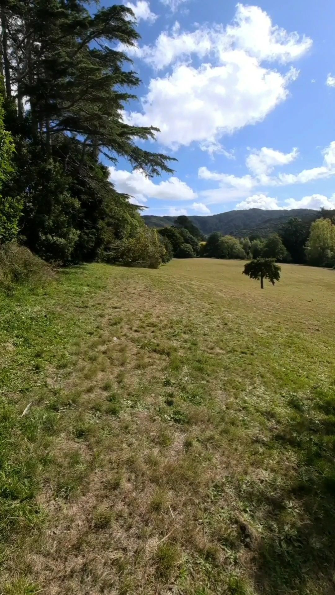 Hole 3 tee