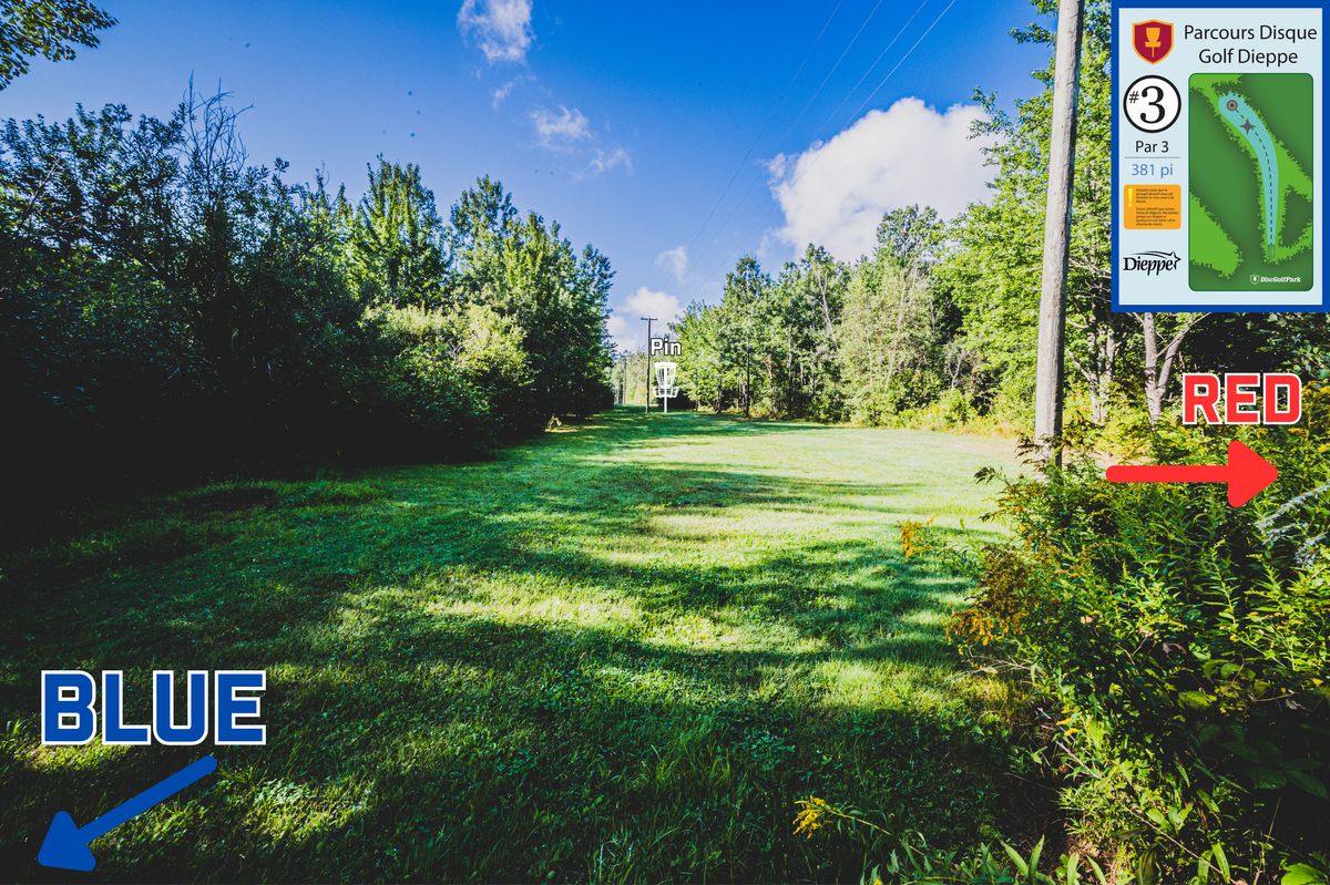 Hole 3 Fairway about 60’ from Blue Tee.