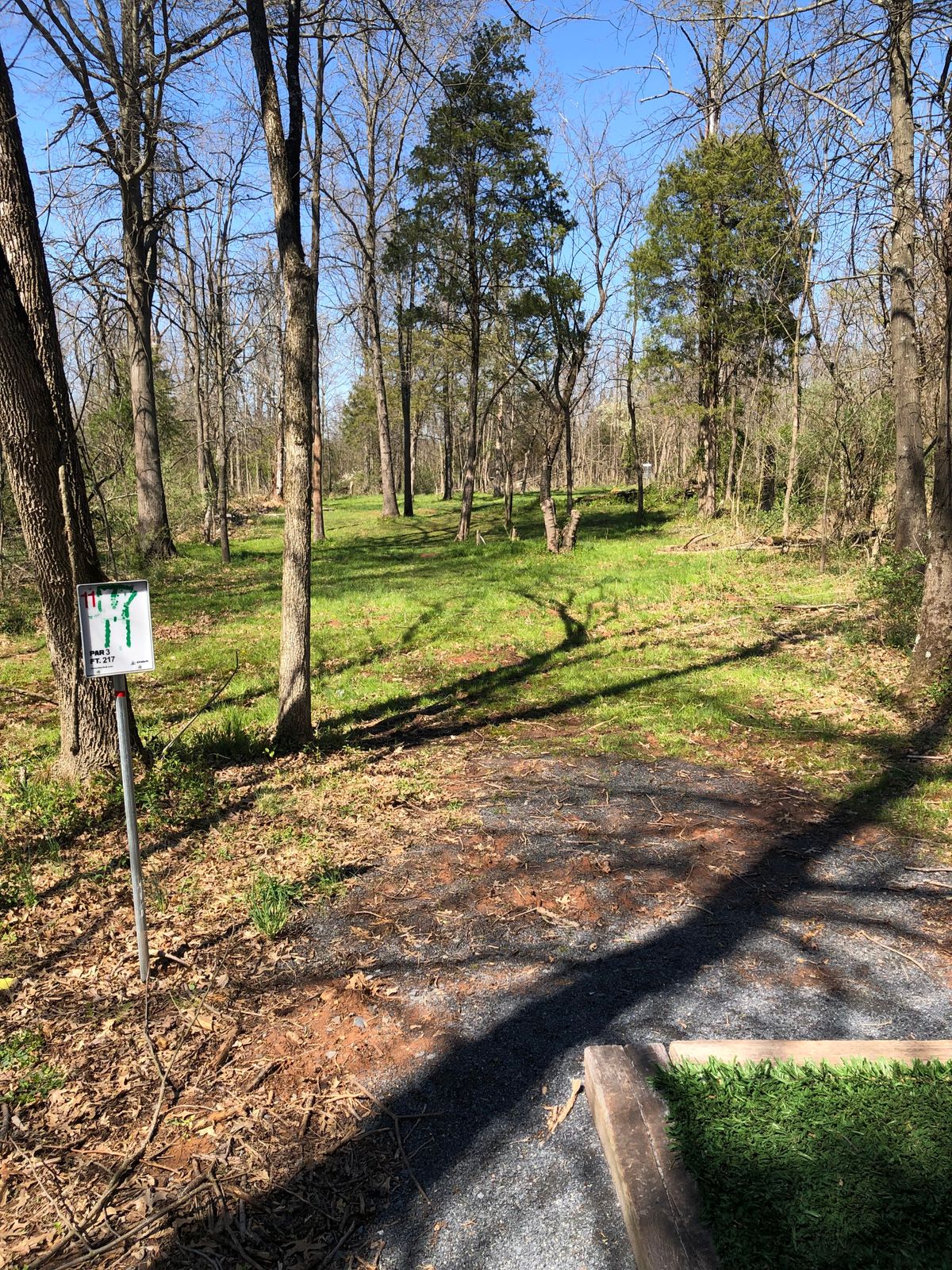 Hole 11 Short Tee