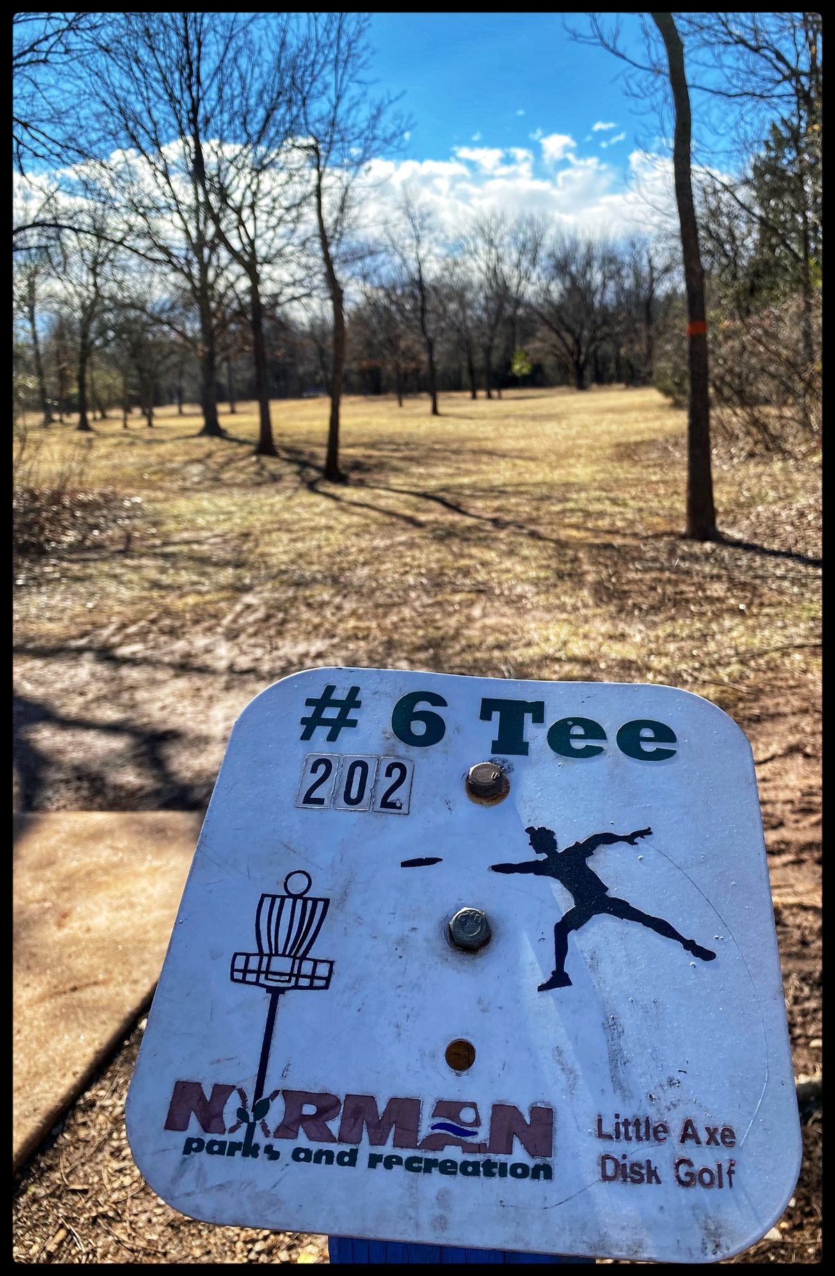 #6 Tee