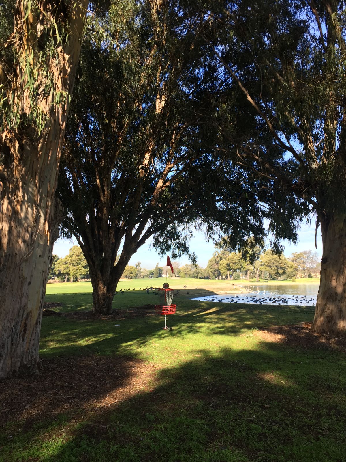 Hole 8 pin