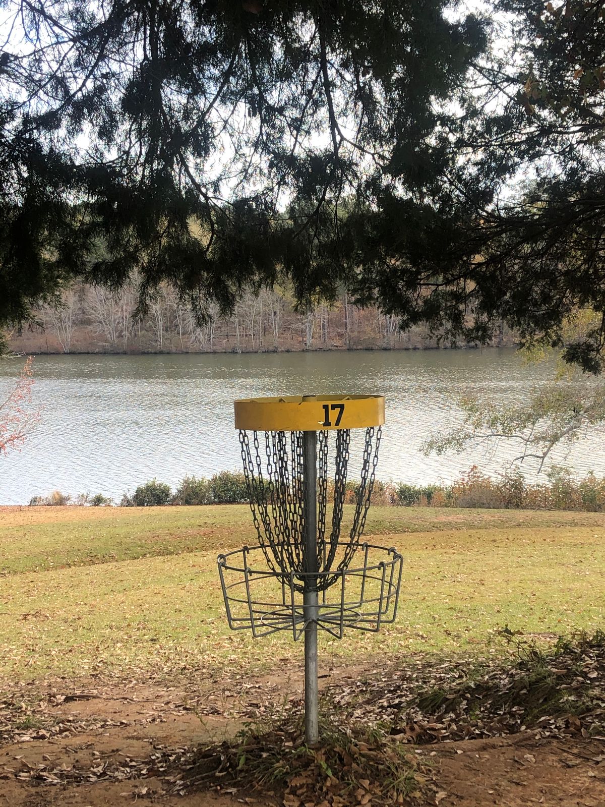 Hole 17 basket