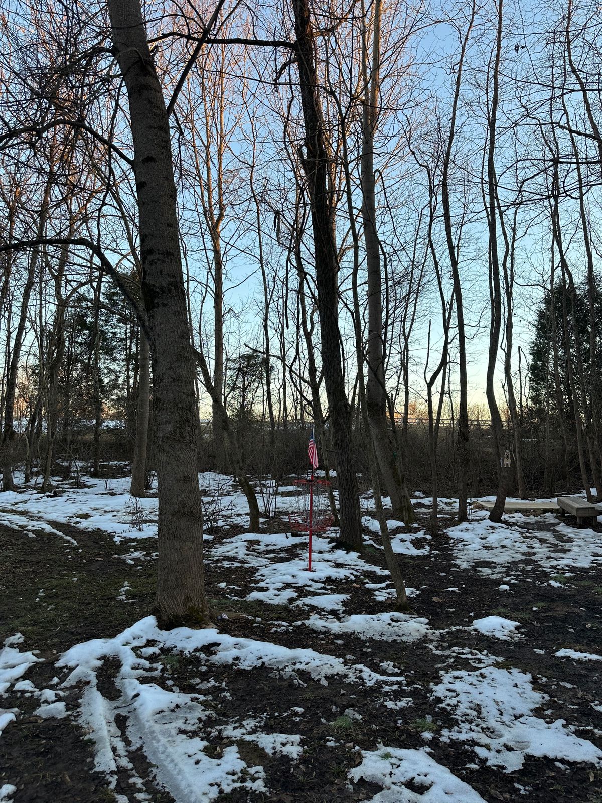 Hole 12 basket
