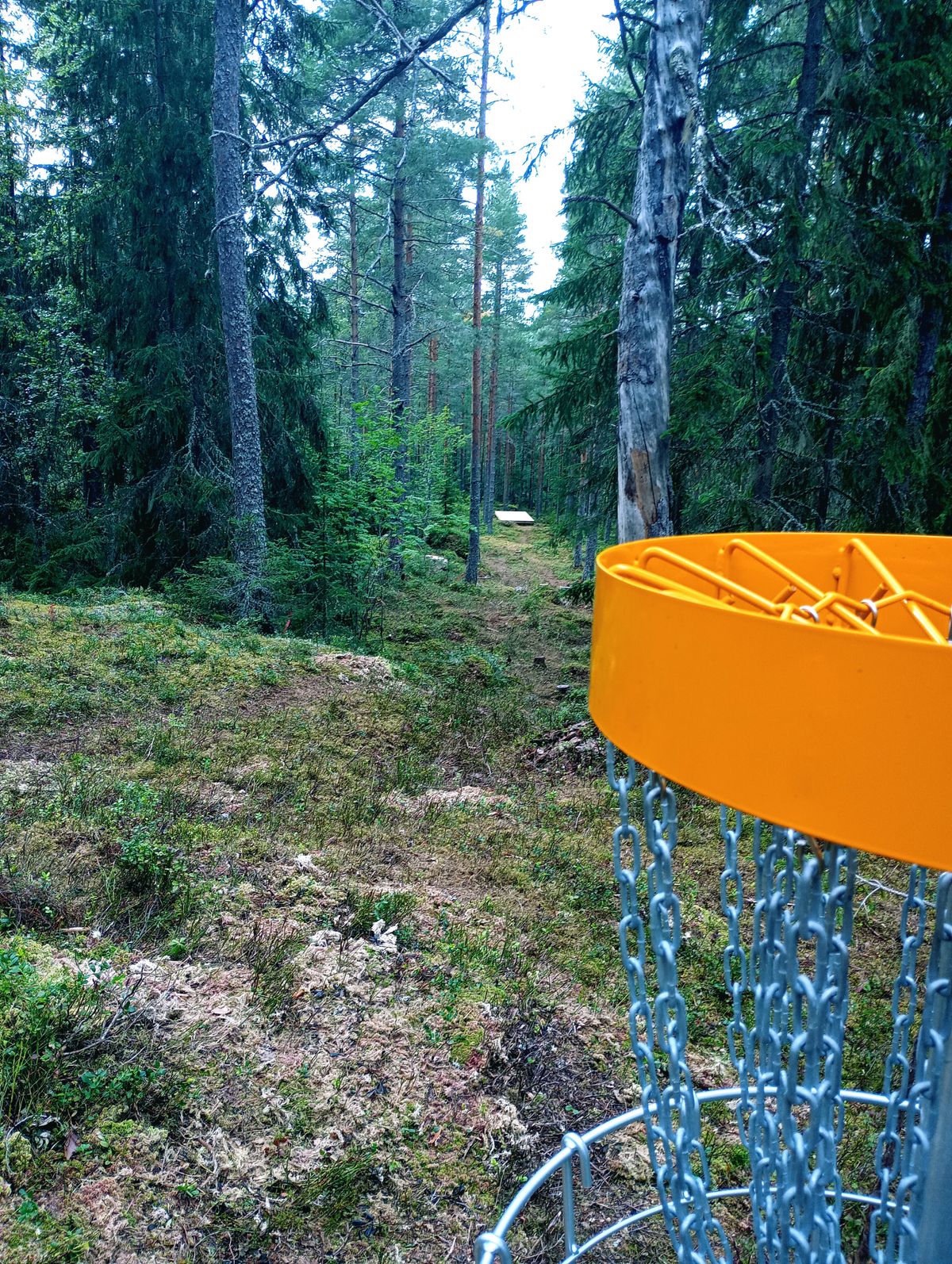 Gustafs söndags disc - Gustafs söndags disc