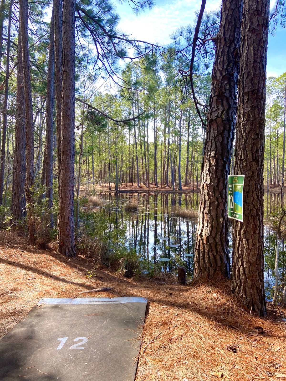 Hole 12. So much fun