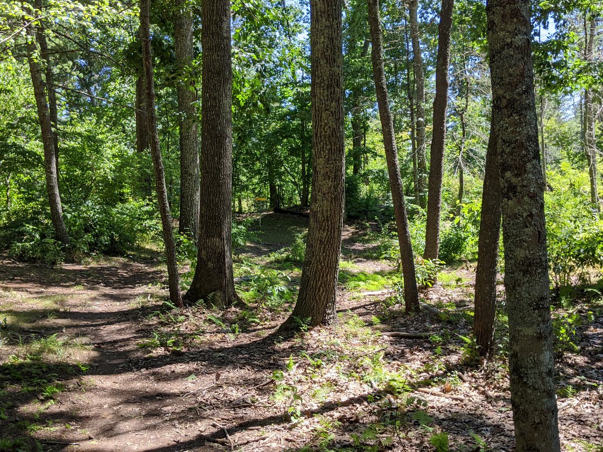 Hole 7