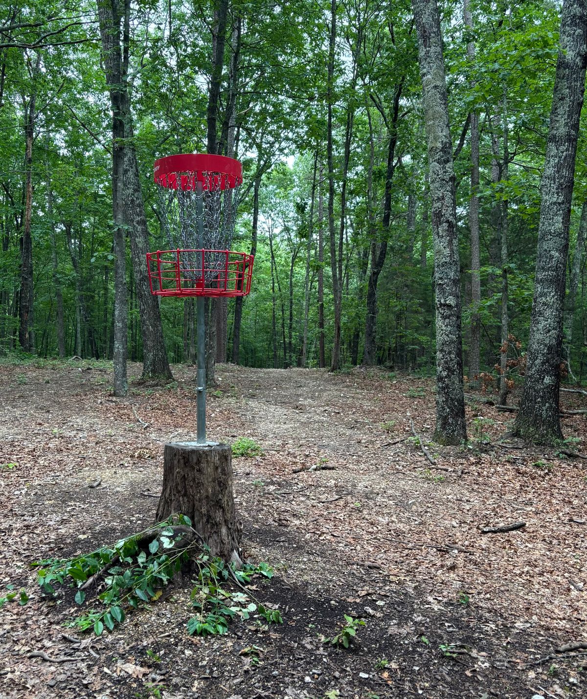 Hole #17 Basket to Tee
