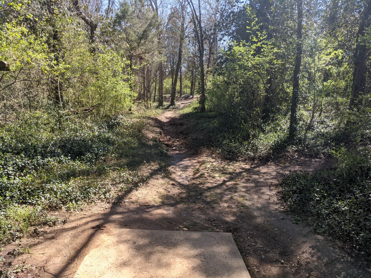 A good look off the tee for hole 10.  You first choice is to try to go around or through the guardian trees that seem to have been grown intentionally to deflect discs into the creek on the left.