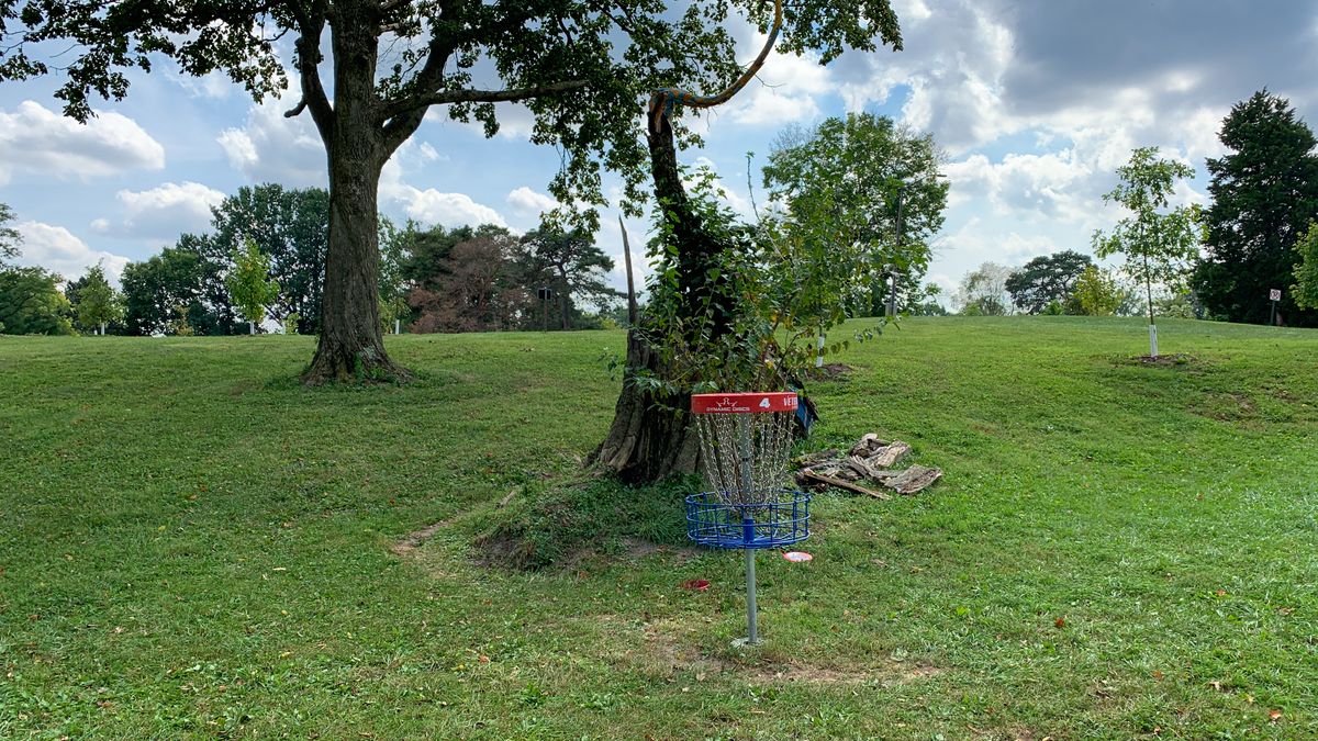 Hole 4