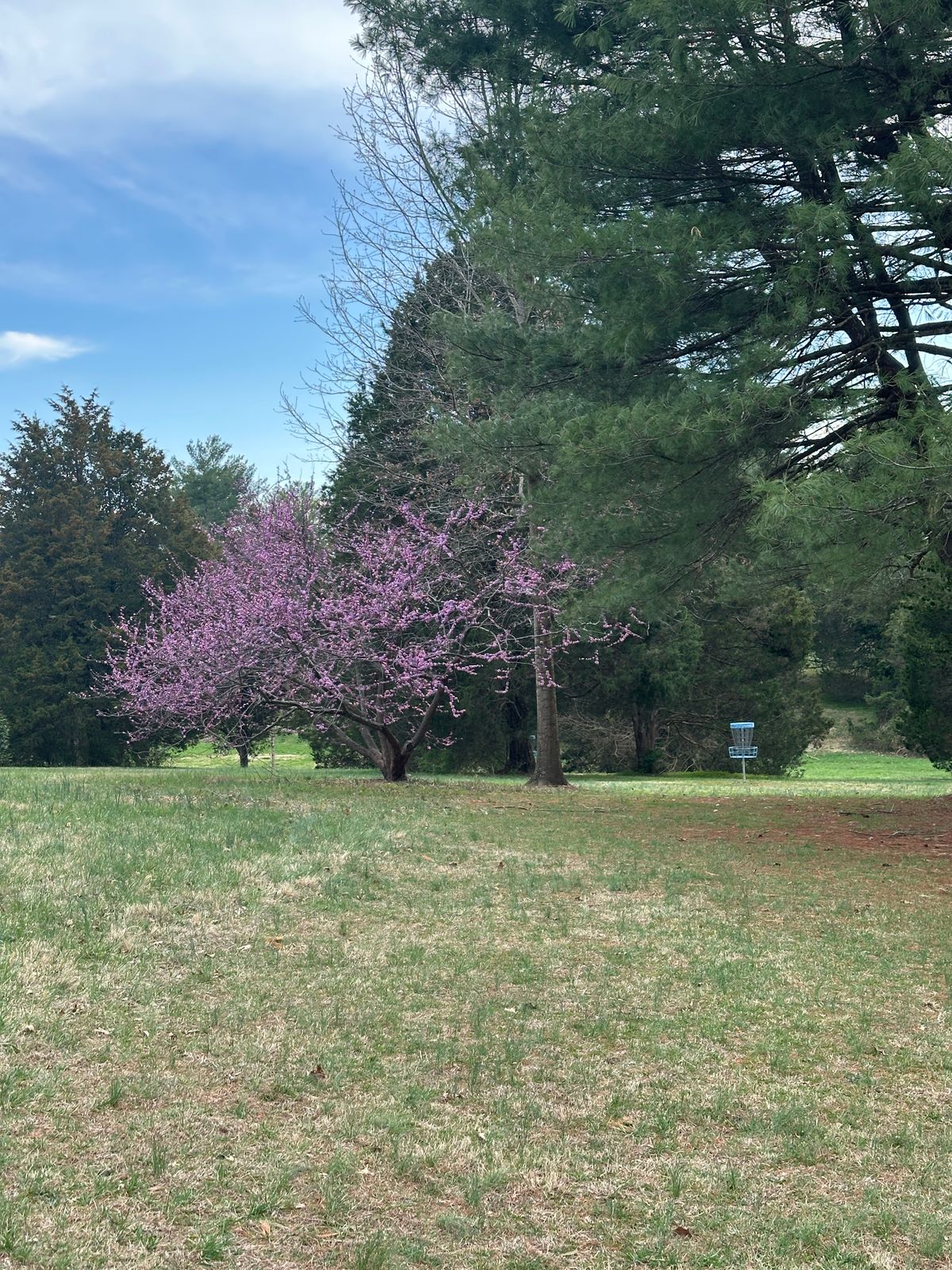 Hole 17