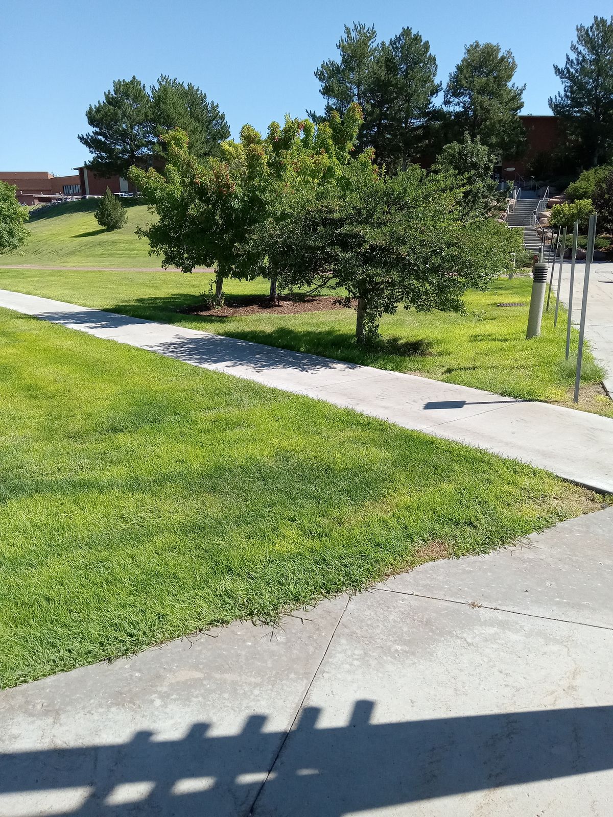 Neo(new) Layout hole 2. Tee off from concrete to basket #2 (white number on basket.)