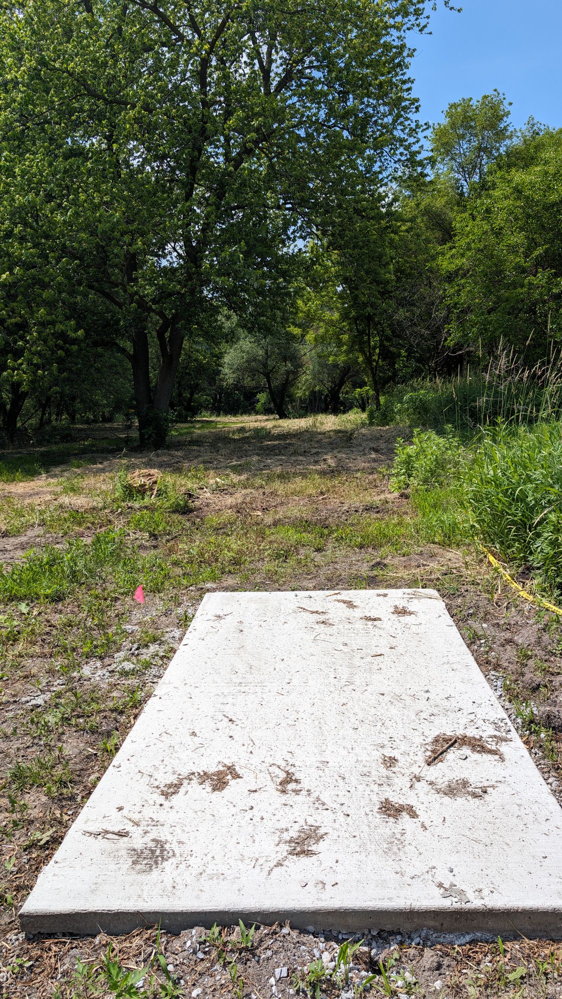 6 Tee, facing baskets