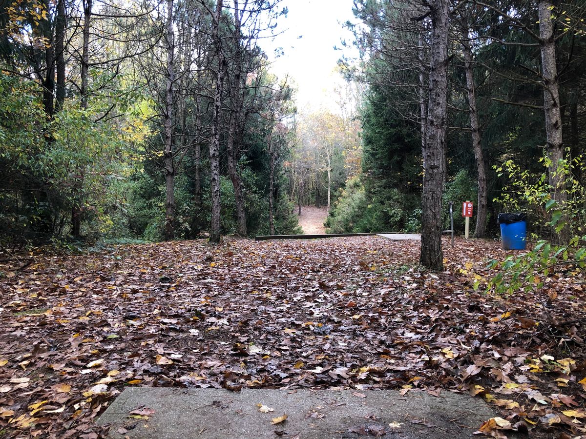 Hole 17 long teepad