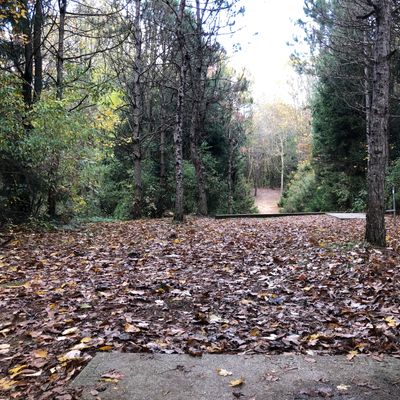 Hole 17 long teepad