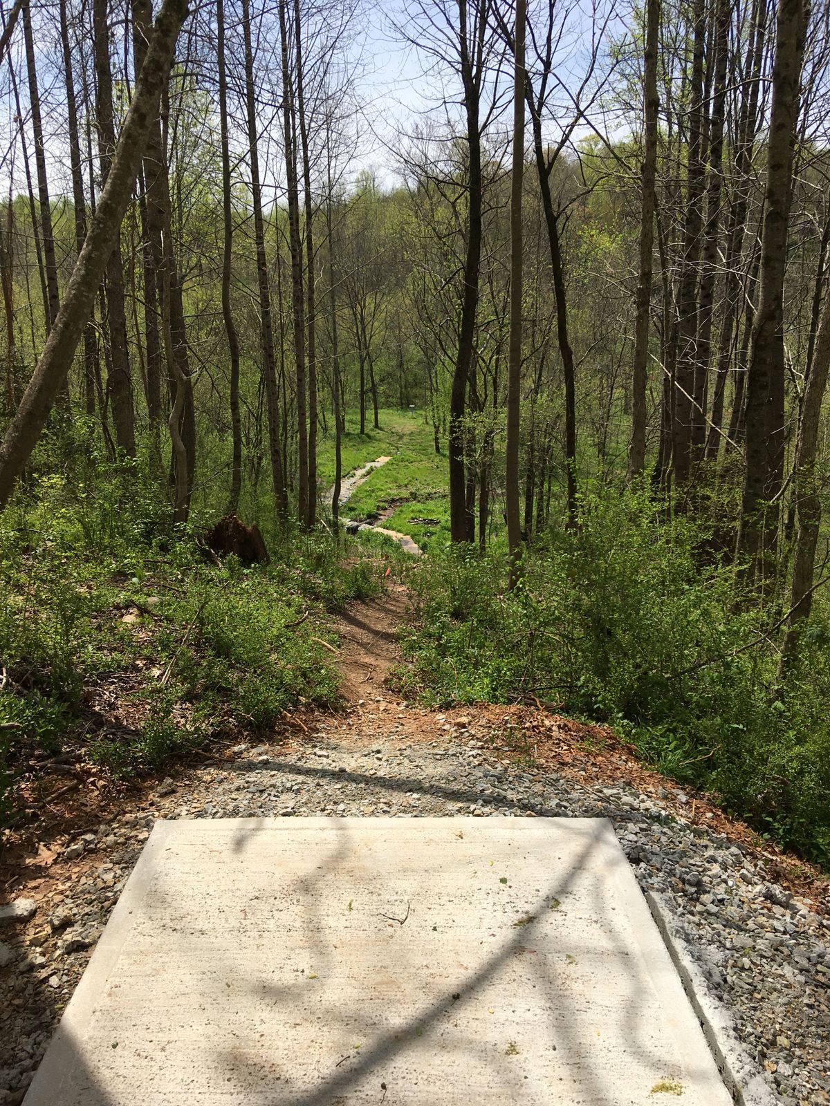 Top of the world shot, hole 5.