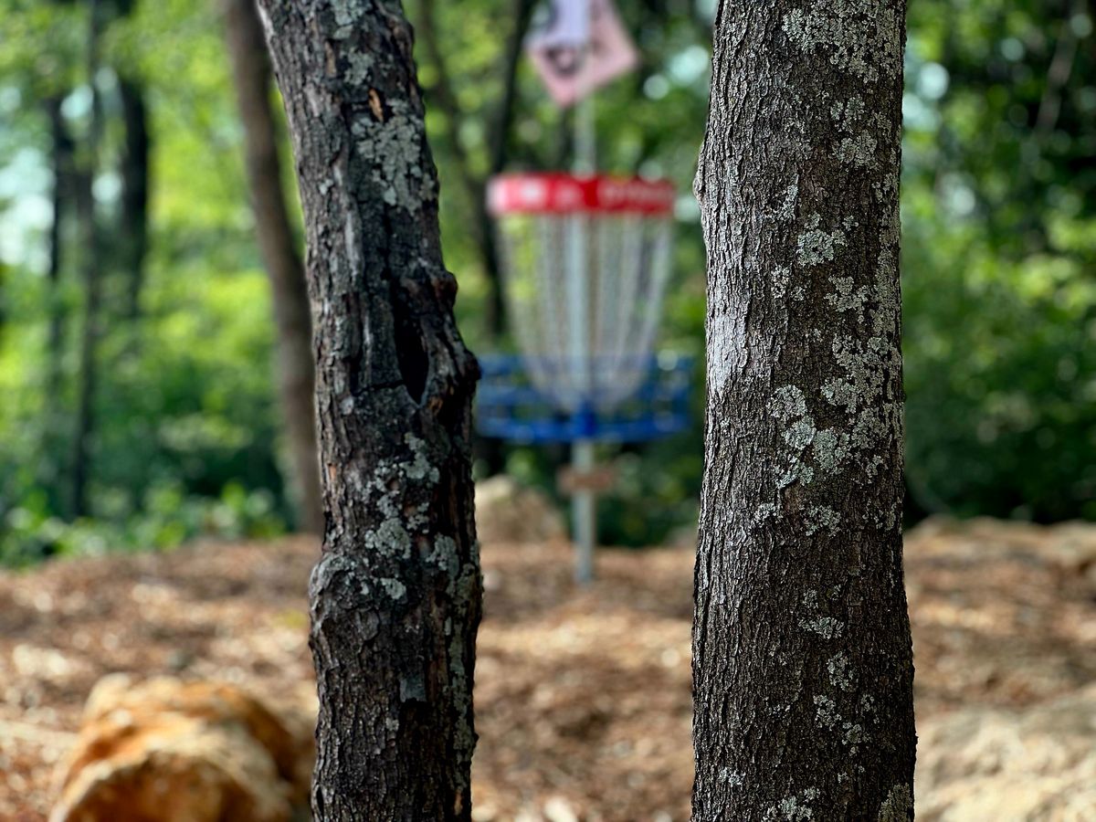 Hole 15: Nature's Revenge basket blur
