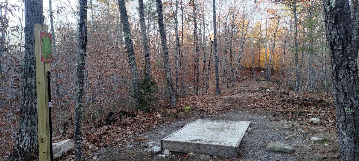 Hole 9