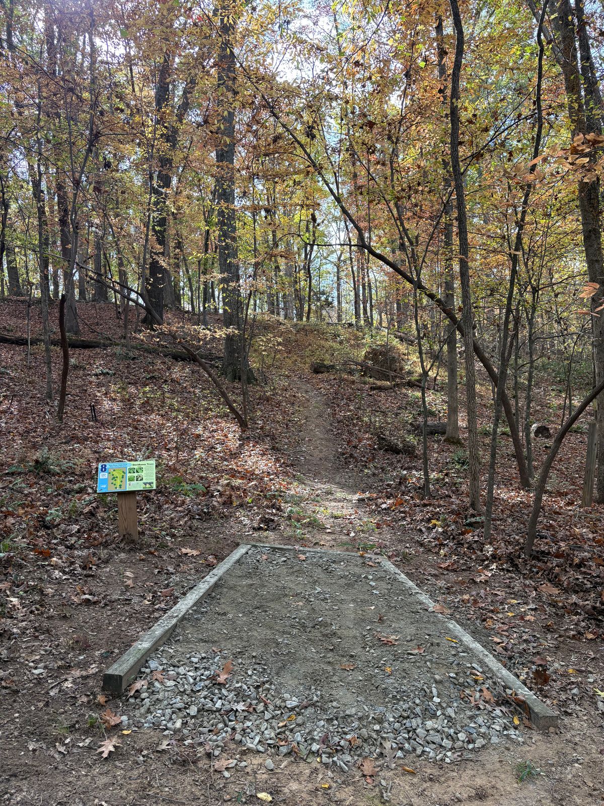 Hole 8