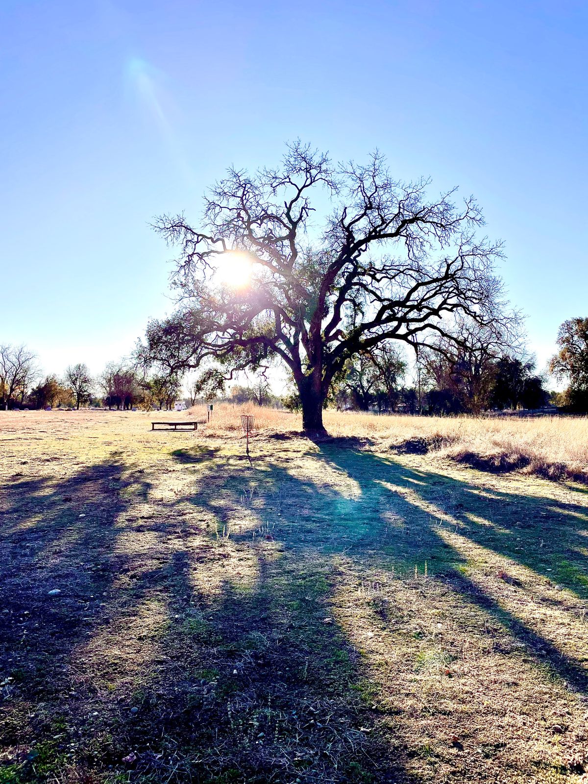 Hole 3 after a sweet early morning 50-foot bird.