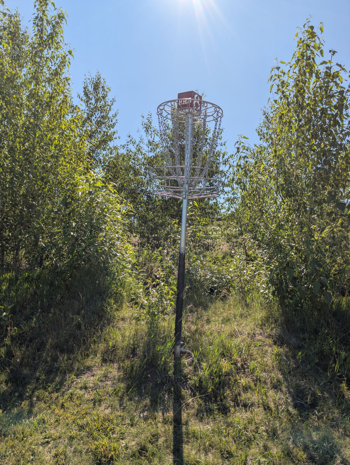 Raised basket at basket 8.