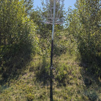 Raised basket at basket 8.