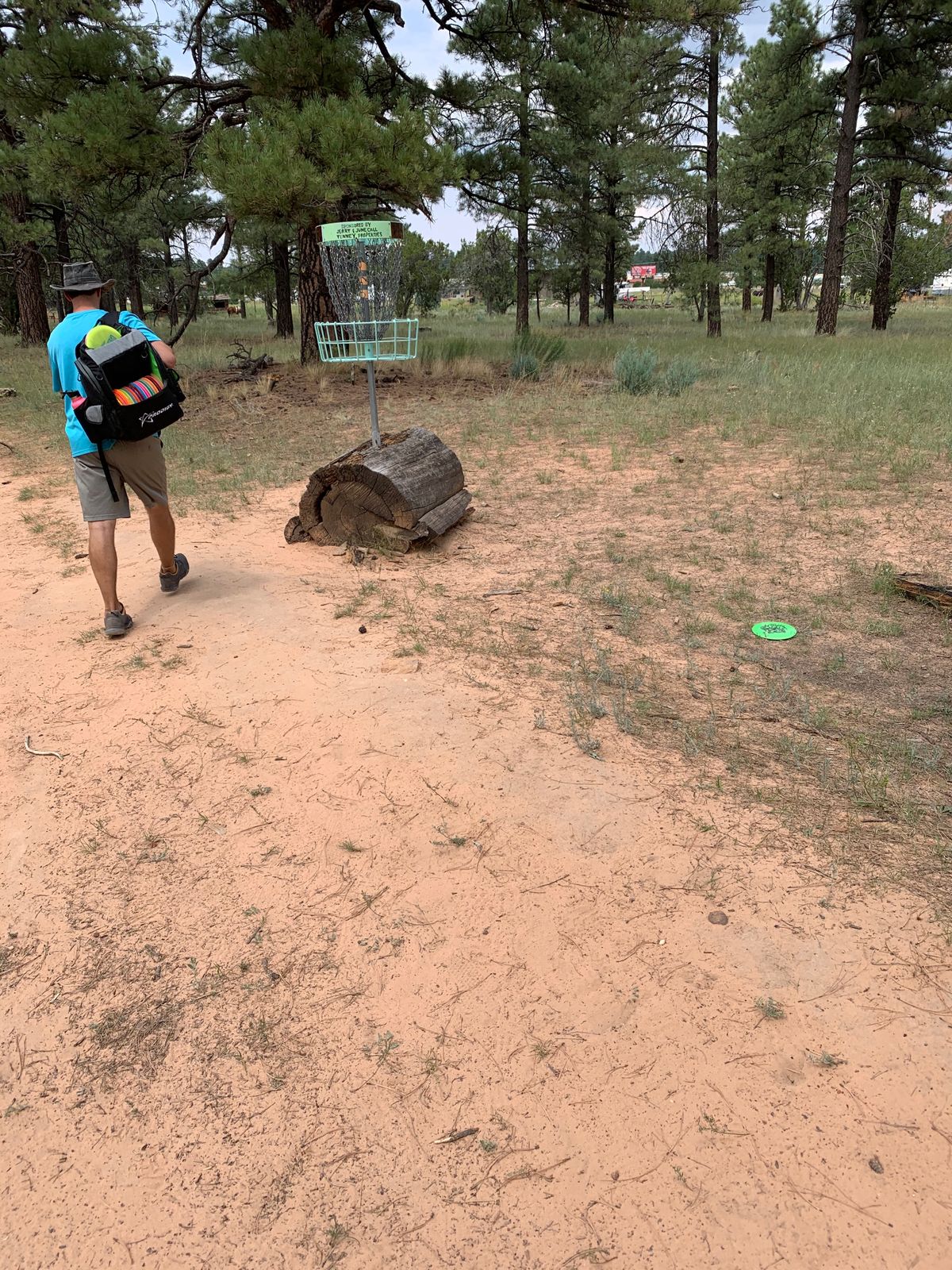 hole 12