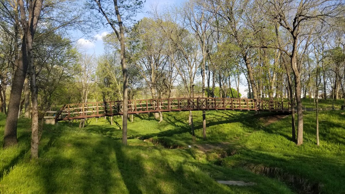 Hole 12 “Hanging Basket”
