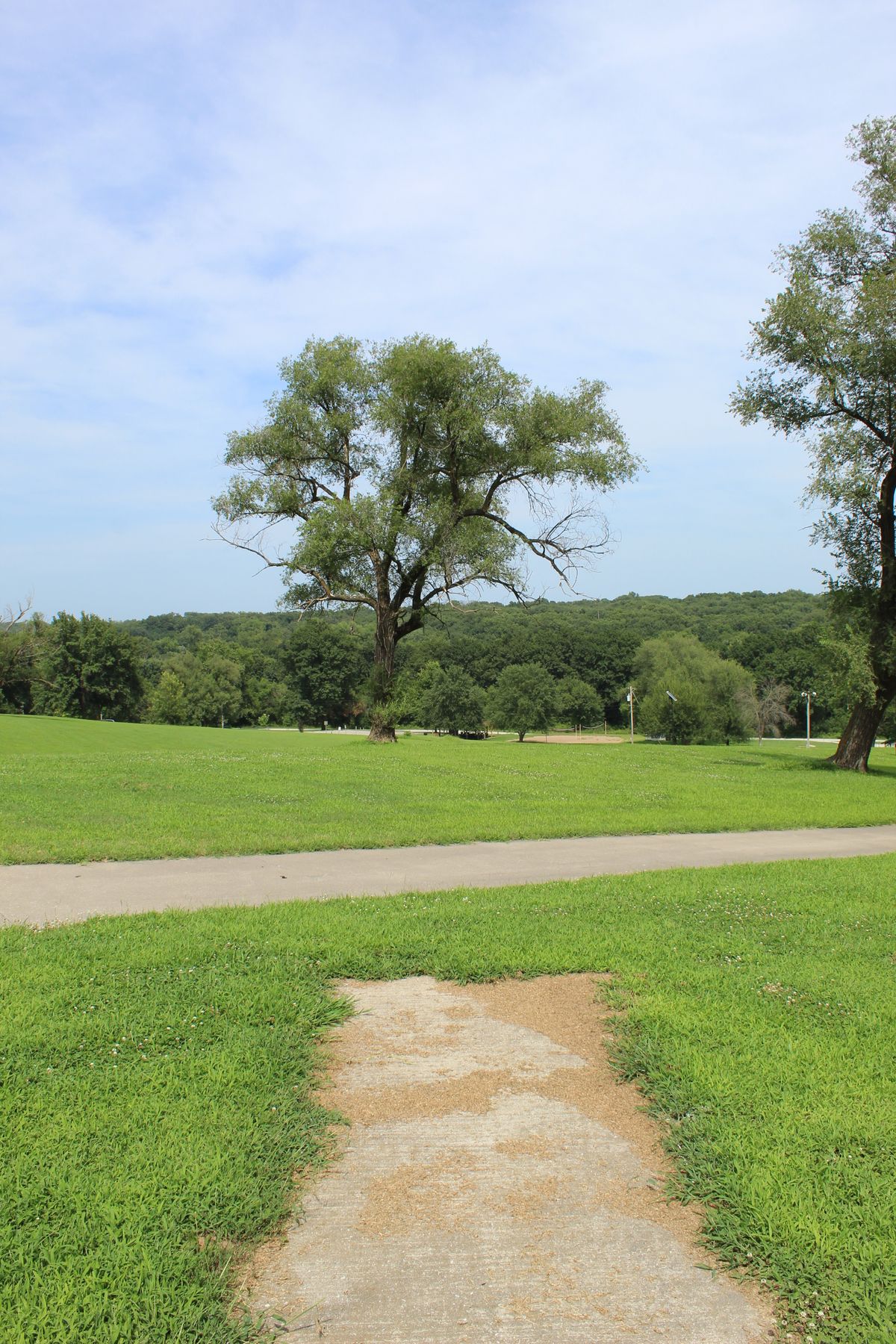 Hole 8 (Tee)