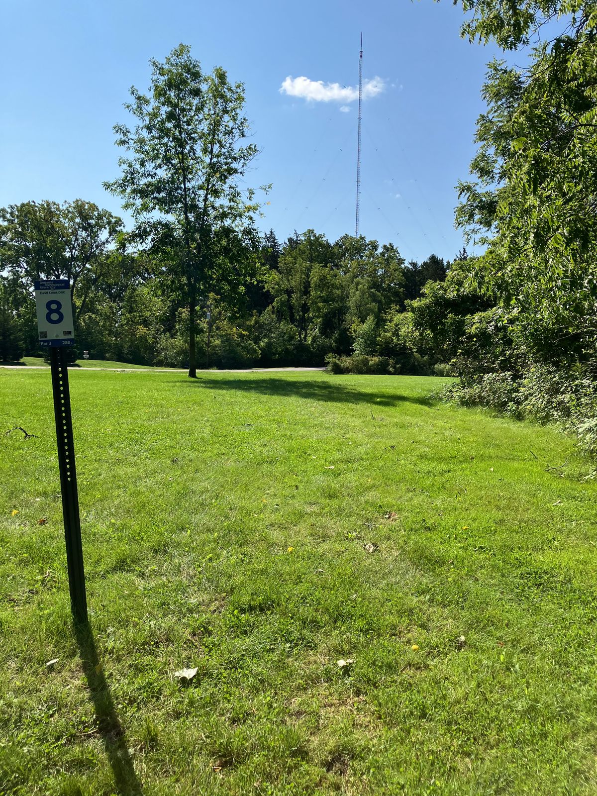 Hole 8