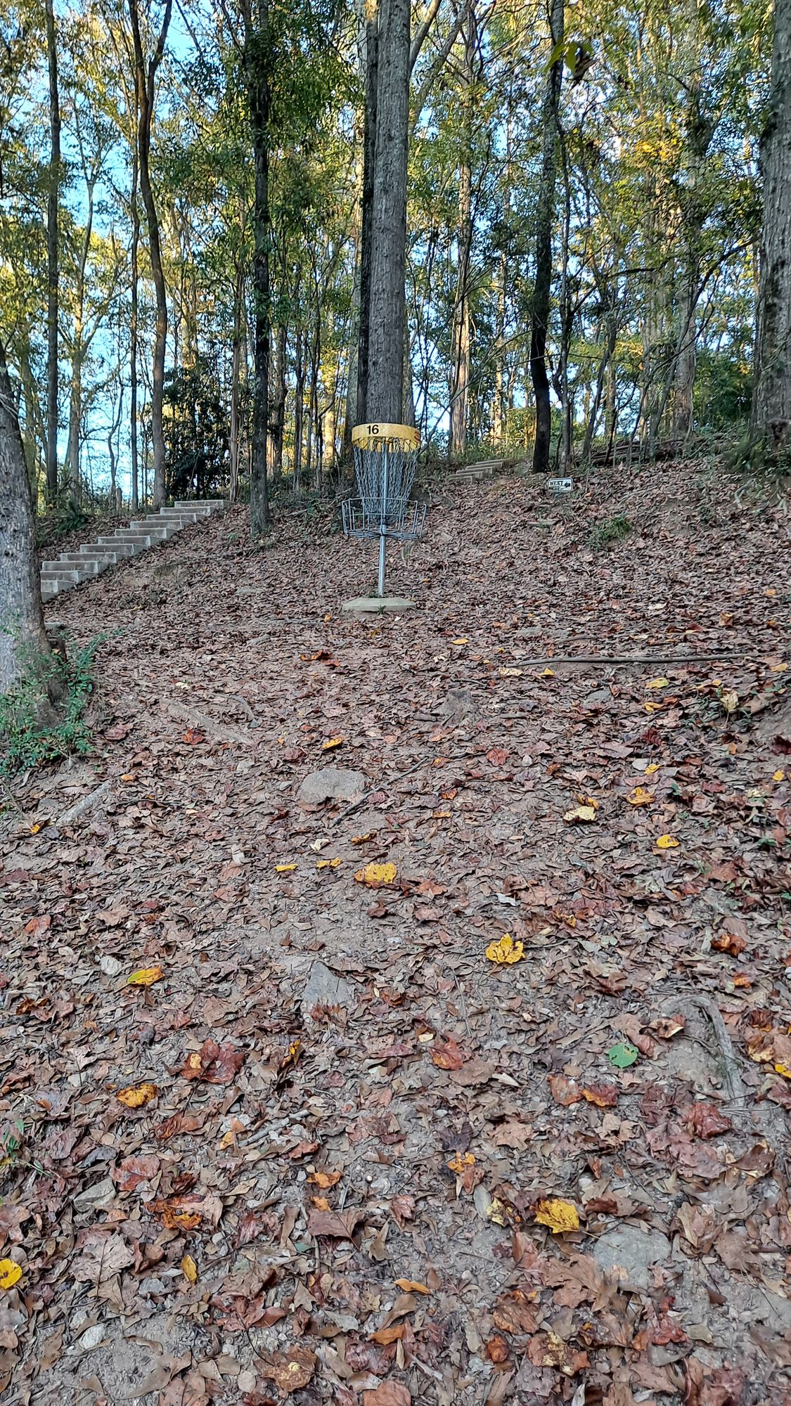 #16 circle 1