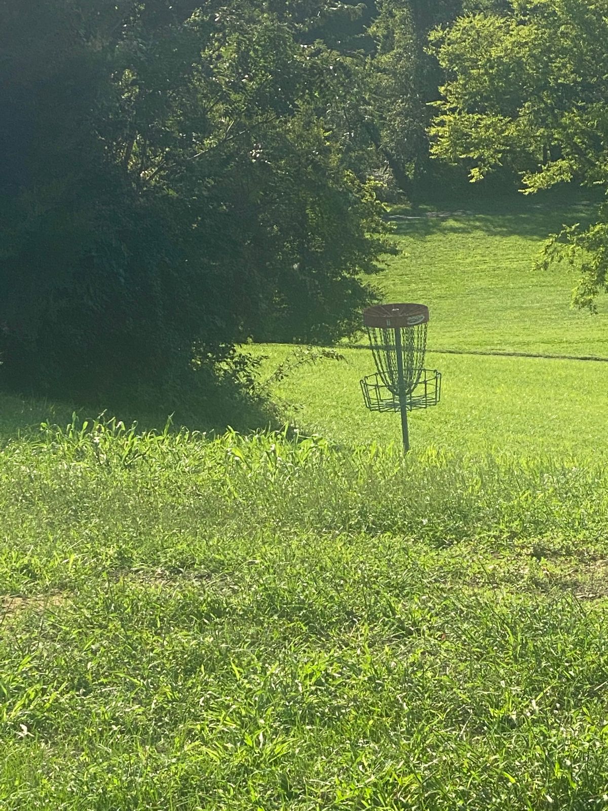 Hole 7 basket